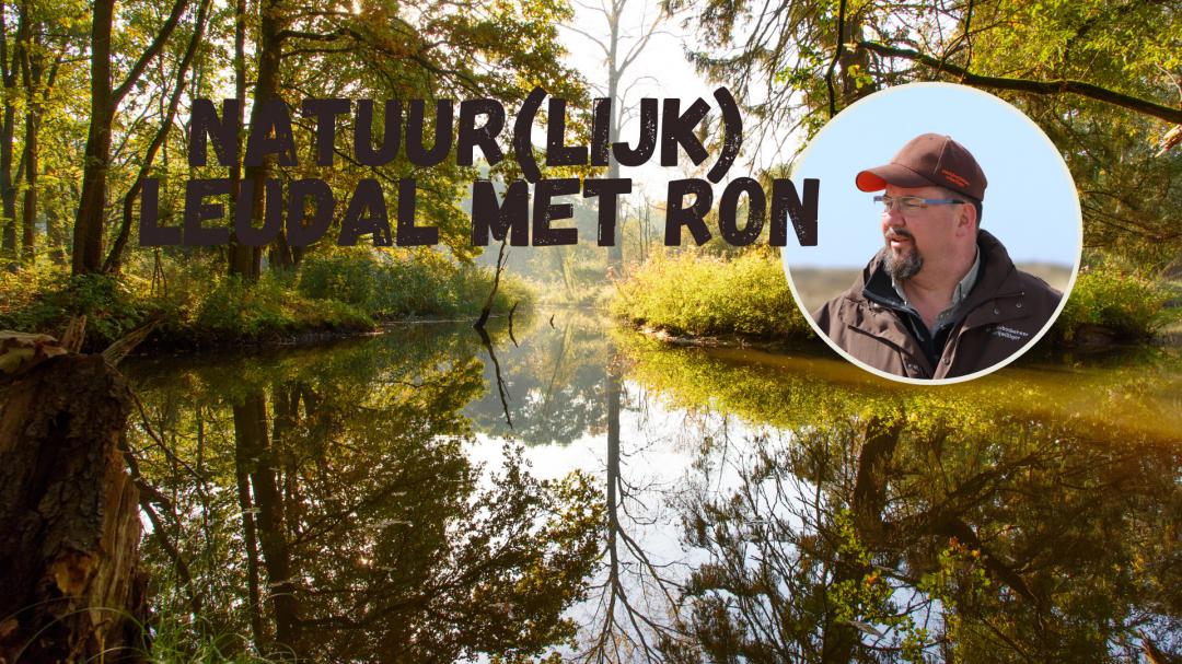 Ron – een drakenvlieg